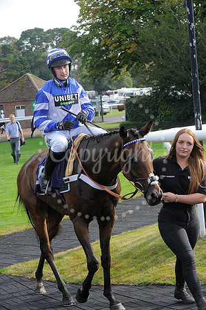 Fontwell Sept 21