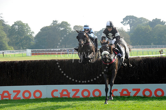 Fontwell Sept 21