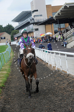 Fontwell Sept 21