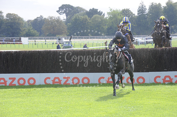 Fontwell Sept 21