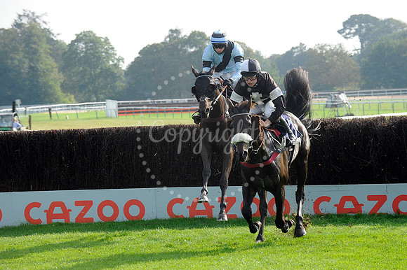 Fontwell Sept 21