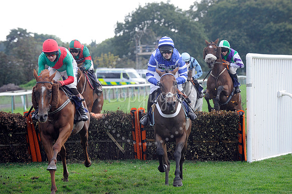Fontwell Sept 21