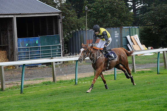 Fontwell Sept 21