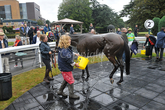 Fontwell Sept 21