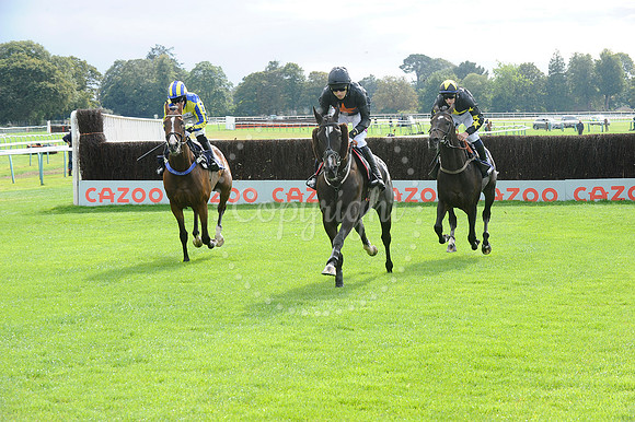 Fontwell Sept 21