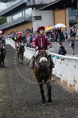 Fontwell Sept 21