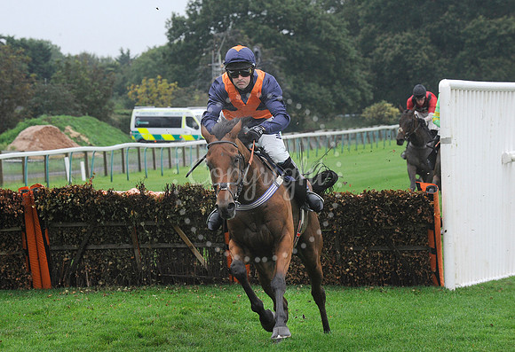 Fontwell Sept 21