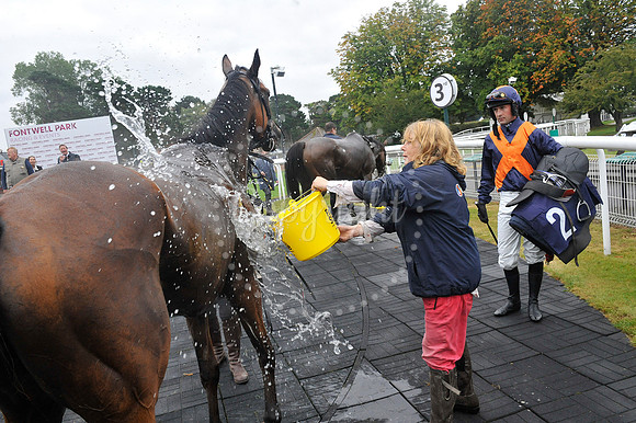 Fontwell Sept 21