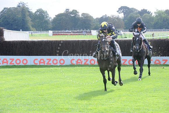 Fontwell Sept 21