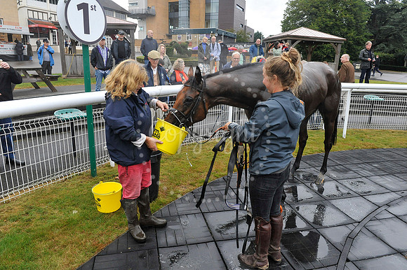 Fontwell Sept 21
