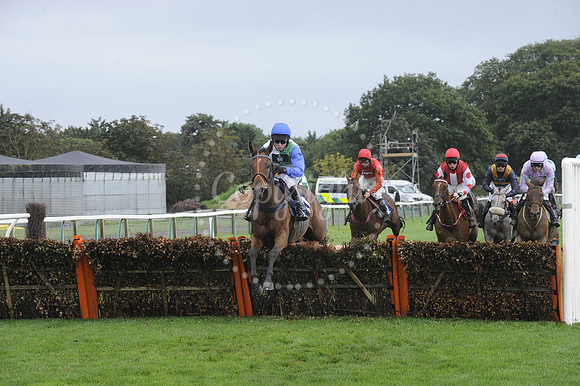 Fontwell Sept 21