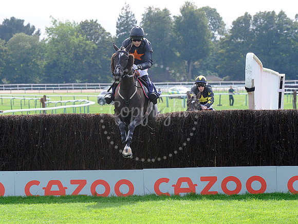Fontwell Sept 21