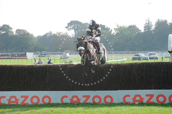 Fontwell Sept 21