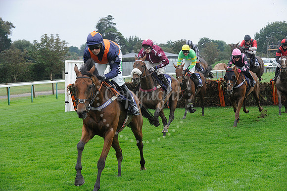 Fontwell Sept 21