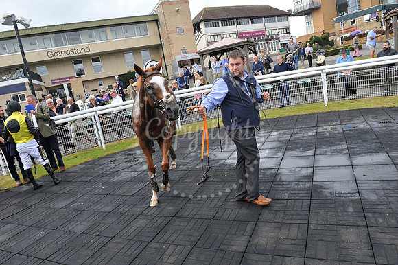 Fontwell Sept 21