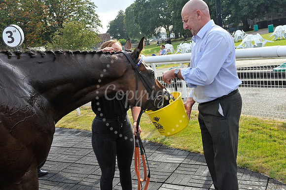 Fontwell Sept 21
