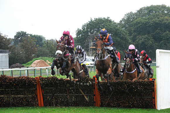Fontwell Sept 21