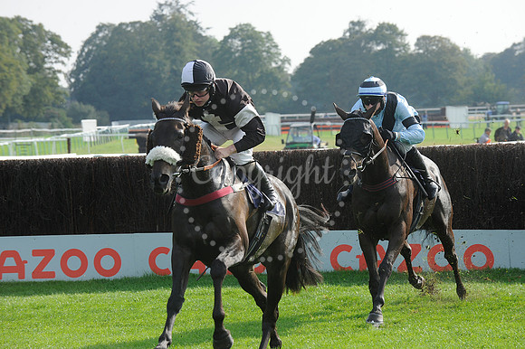Fontwell Sept 21