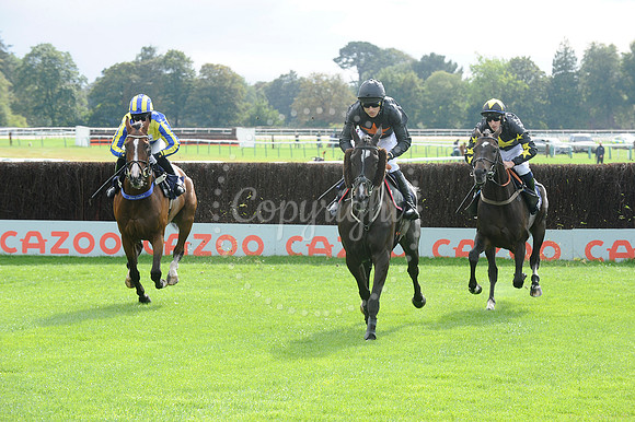 Fontwell Sept 21