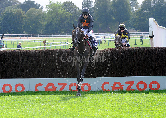 Fontwell Sept 21