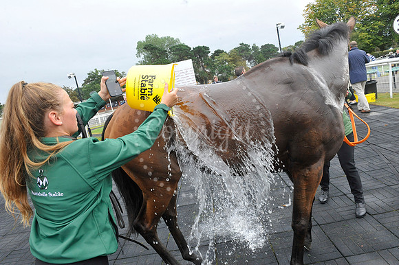 Fontwell Sept 21