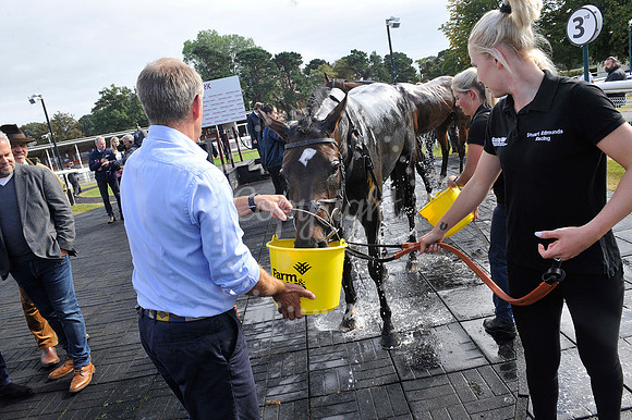 Fontwell Sept 21