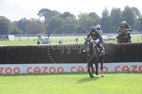 Fontwell Sept 21