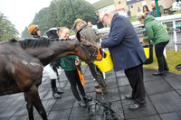 Fontwell Sept 21