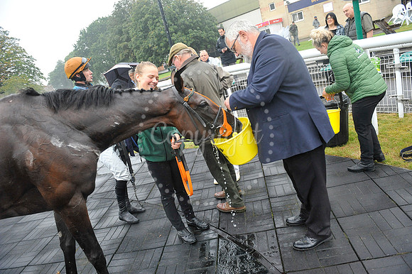 Fontwell Sept 21