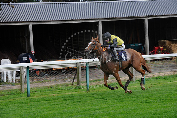 Fontwell Sept 21