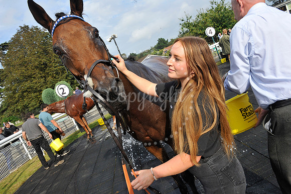 Fontwell Sept 21