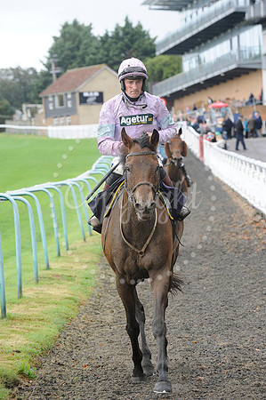 Fontwell Sept 21