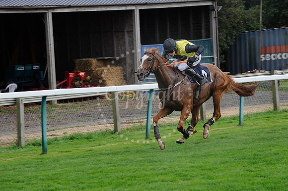 Fontwell Sept 21