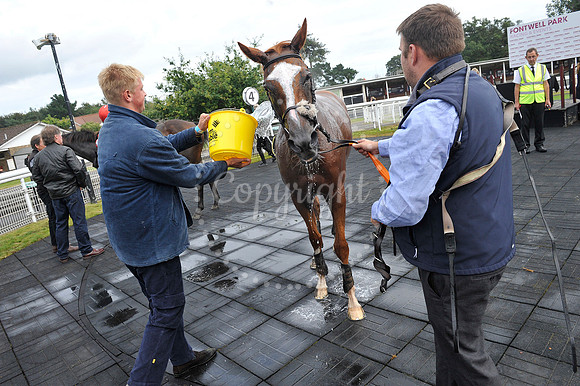 Fontwell Sept 21