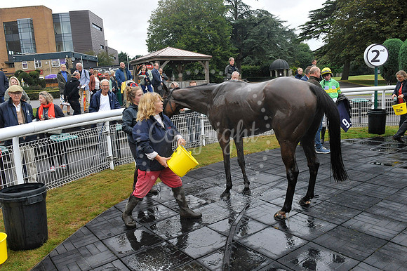 Fontwell Sept 21