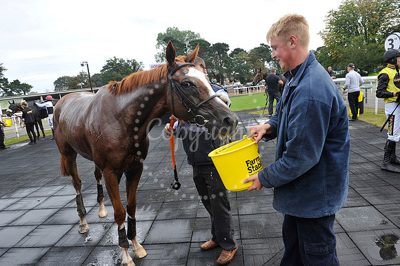 Fontwell Sept 21