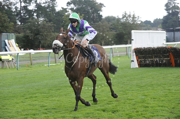 Fontwell Sept 21