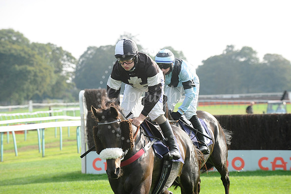 Fontwell Sept 21