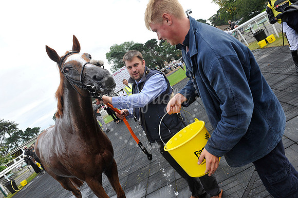 Fontwell Sept 21