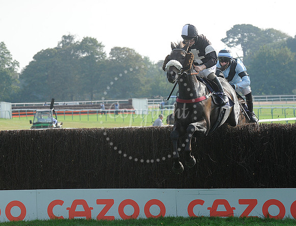 Fontwell Sept 21
