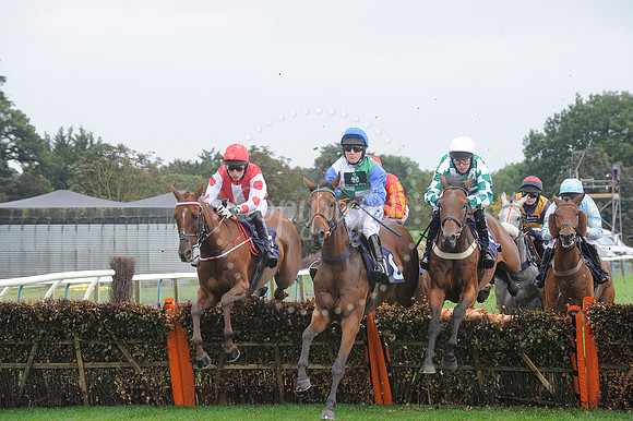 Fontwell Sept 21