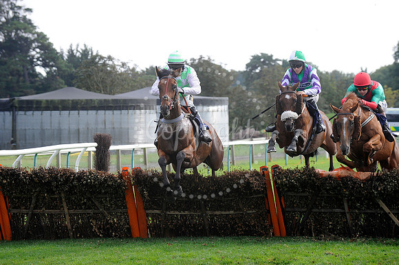 Fontwell Sept 21