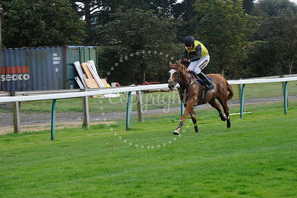 Fontwell Sept 21