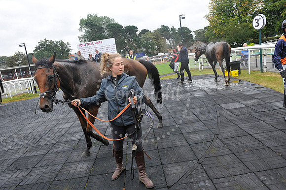 Fontwell Sept 21