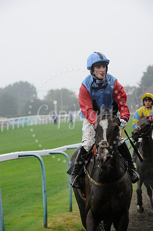 Fontwell Sept 21