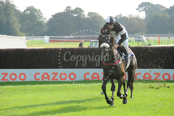 Fontwell Sept 21