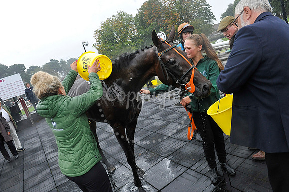 Fontwell Sept 21