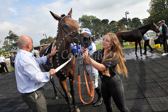 Fontwell Sept 21