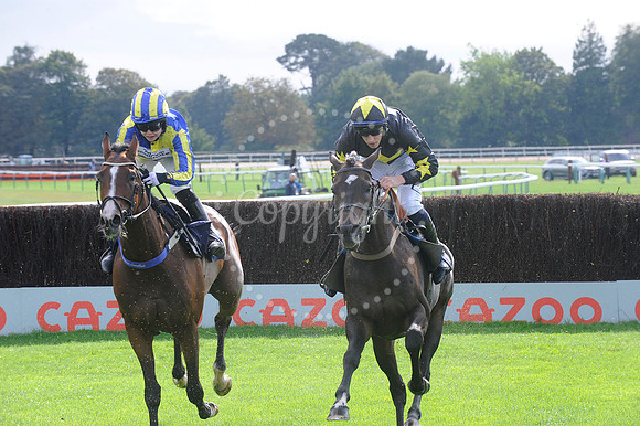 Fontwell Sept 21