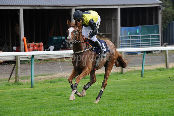 Fontwell Sept 21